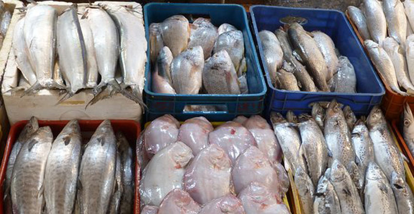 جاهای دیدنی آبادان در زمستان