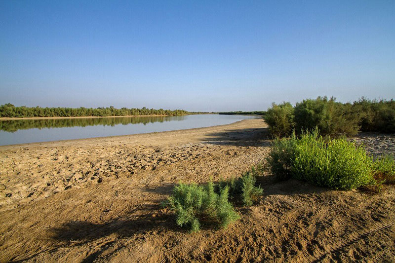 جاهای دیدنی بندرگناوه در زمستان جاهای دیدنی بندرگناوه در زمستان