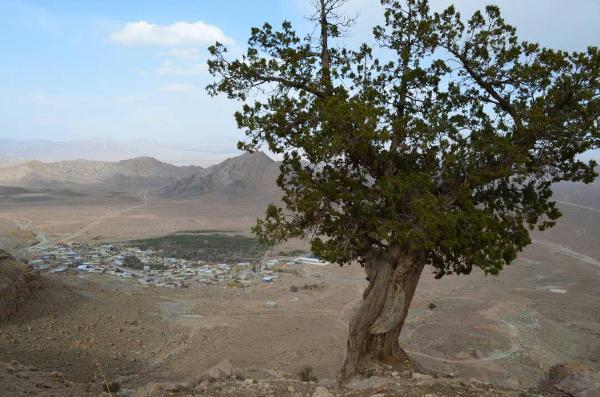روستای باجگان بافق روستای باجگان بافق