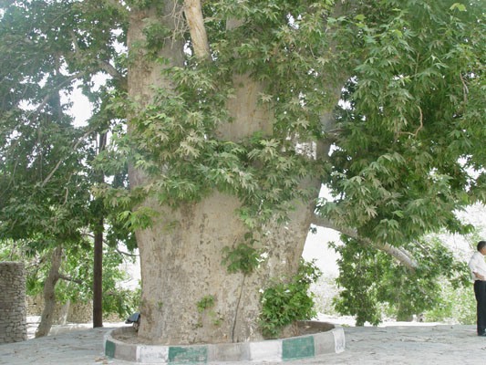 روستای باجگان بافق روستای باجگان بافق
