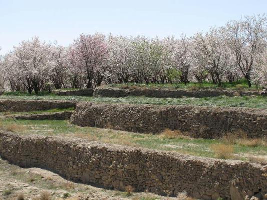 روستای باجگان بافق روستای باجگان بافق