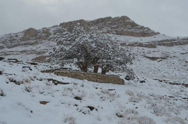 روستای باجگان بافق روستای باجگان بافق