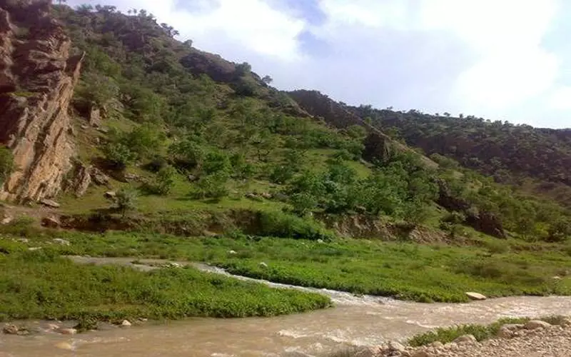 روستای ناو تنگ منصوری روستای ناو تنگ منصوری