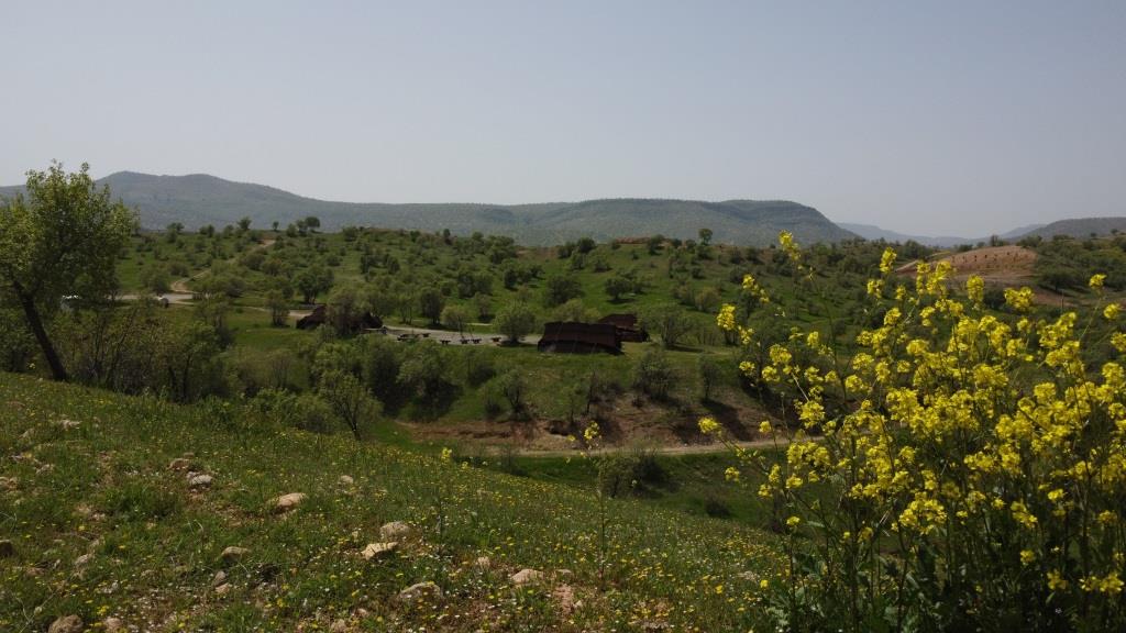 فارمرز فارمرز