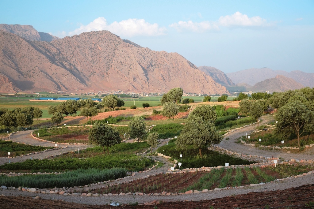 فارمرز فارمرز