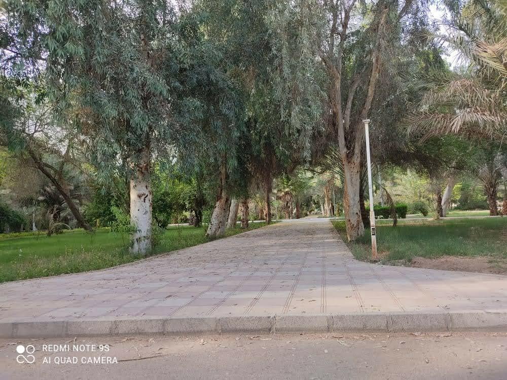 پارک مرکزی سوسنگرد