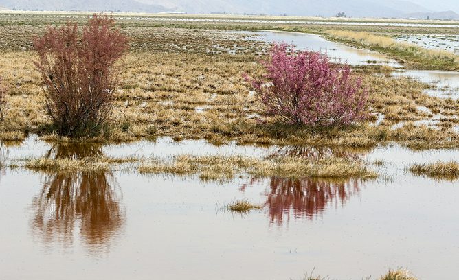 تالاب کمجان خرامه