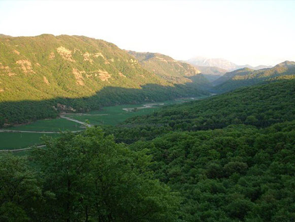تنگ چهل چای تنگ چهل چای