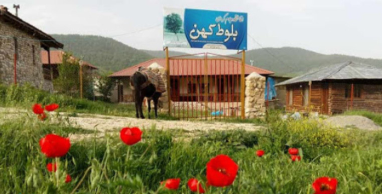 اقامتگاه بومگردی بلوط کهن بهشهر اقامتگاه بومگردی بلوط کهن بهشهر