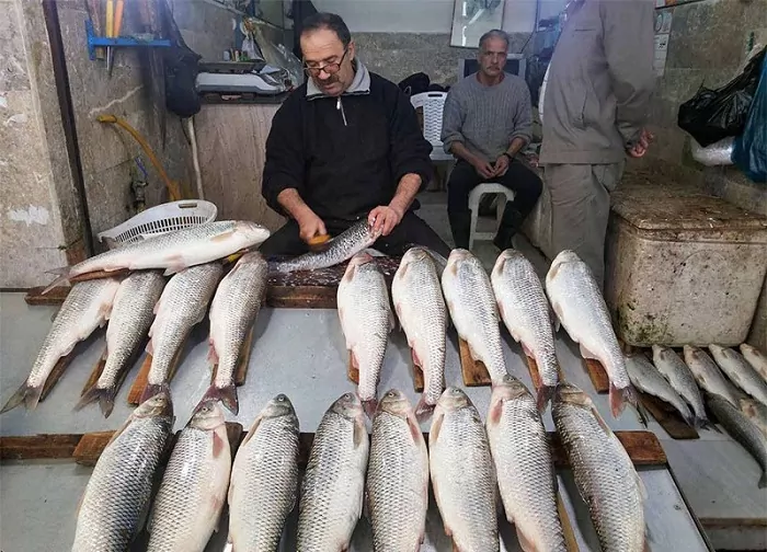 بازار جدید ماهی‌ فروشان رامسر