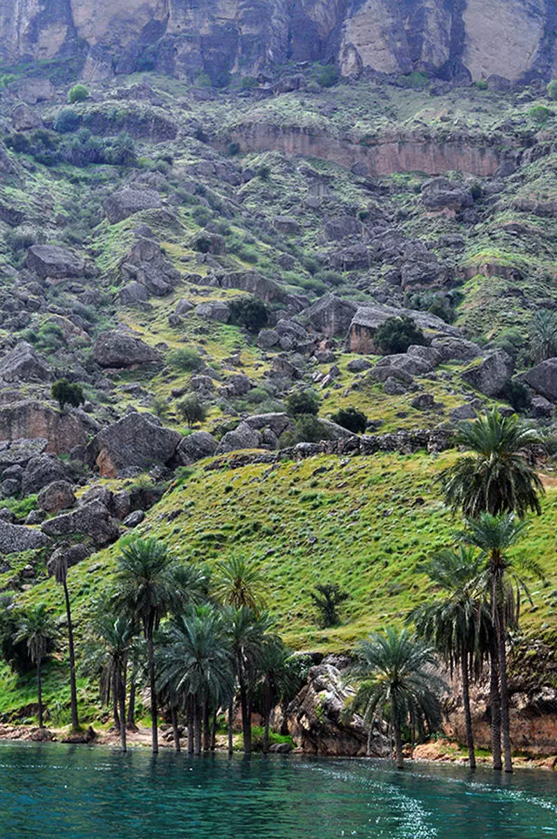 روستای پامنار روستای پامنار