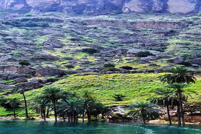 روستای پامنار روستای پامنار