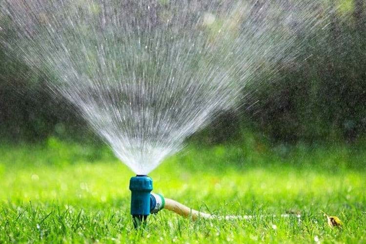 روشهای آبیاری باغچه گل و گیاهان در مسافرت