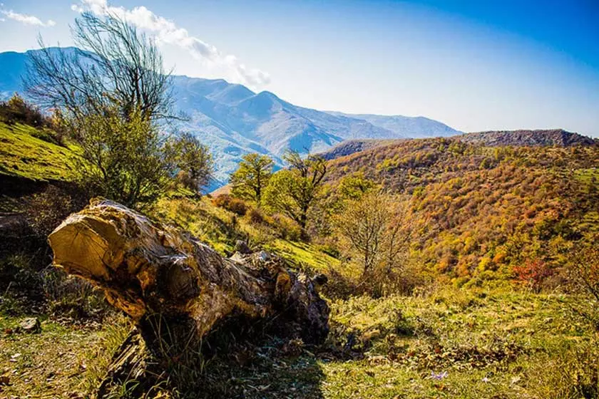 جنگل طبیعی تنباکولو اهر جنگل طبیعی تنباکولو اهر