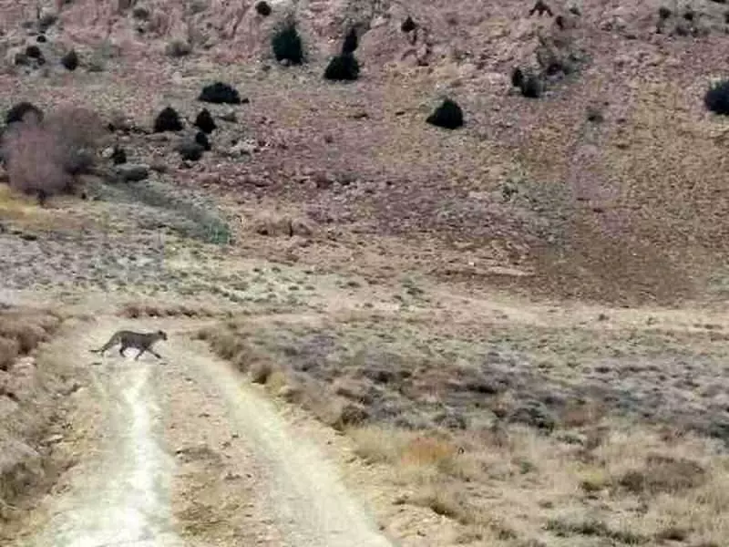 معروف ترین پارک های ملی ایران
