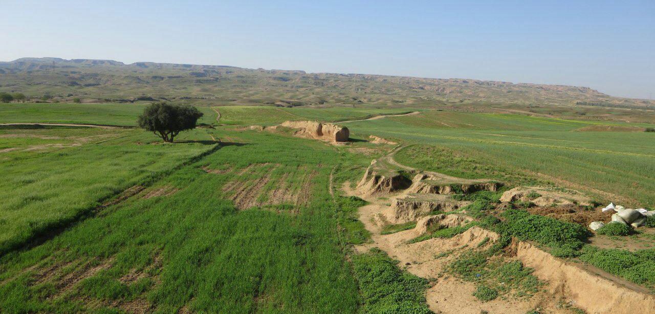 روستای دشت بزرگ گتوند روستای دشت بزرگ گتوند