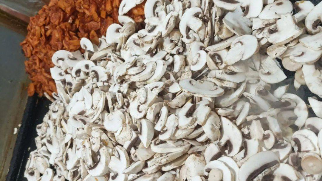 بهترین فست فودی های زابل بهترین فست فودی های زابل