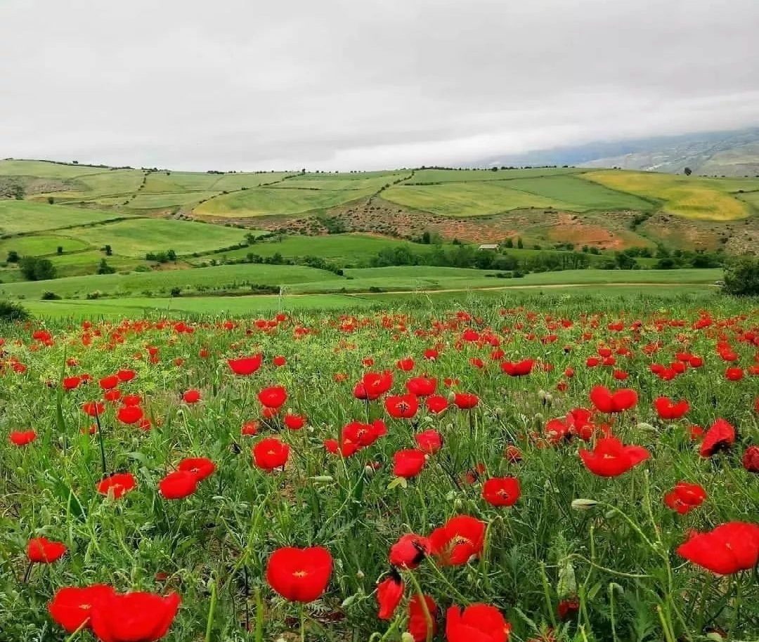 روستای استارم بهشهر