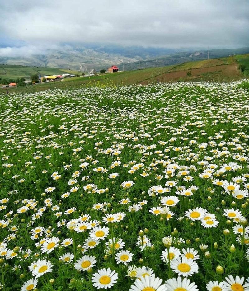 روستای استارم بهشهر