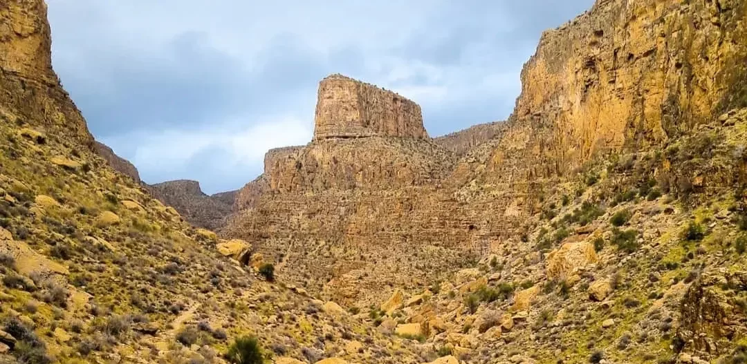 قلعه قباد کوار