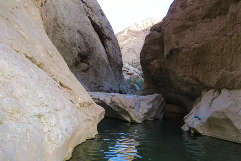 تخت عروس ازمیغان
