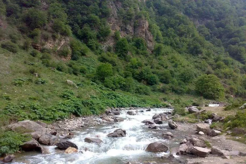 معروف ترین جنگل های کلاردشت معروف ترین جنگل های کلاردشت