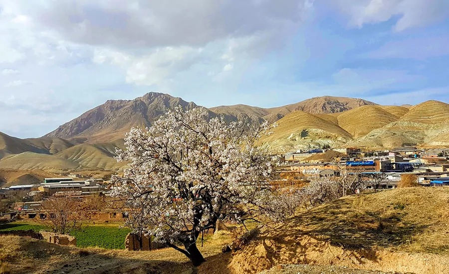 برنامهریزی سفرهای یکروزه برنامهریزی سفرهای یکروزه