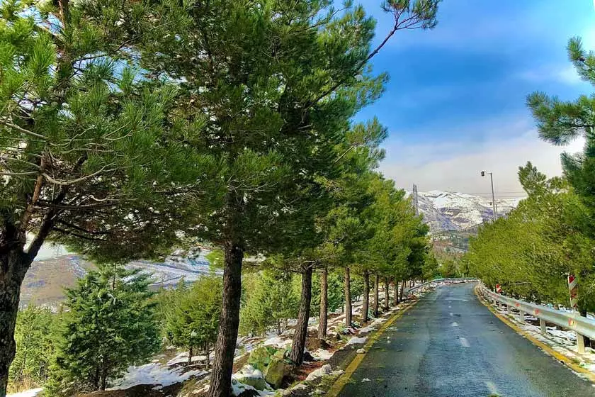 پارک کوهسار (جنوب غرب تهران) پارک کوهسار (جنوب غرب تهران)