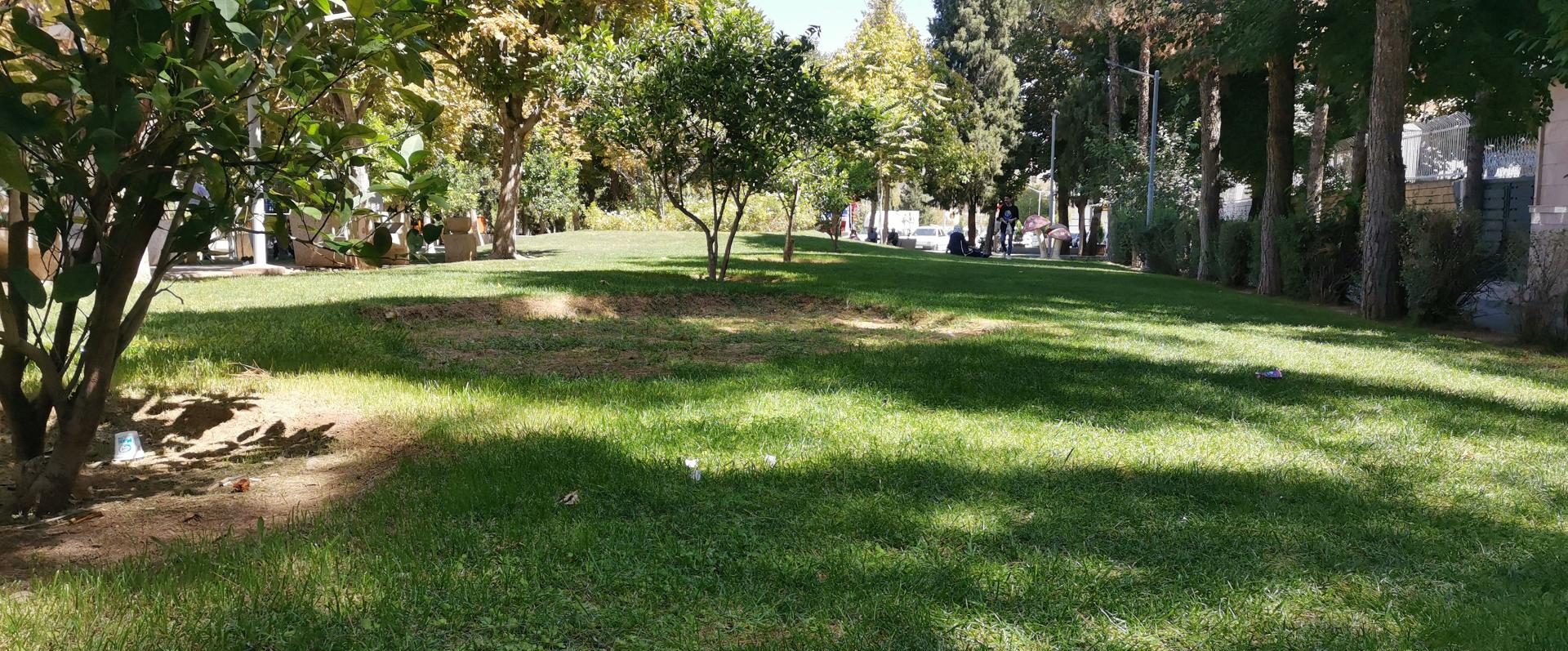 پارک علوی