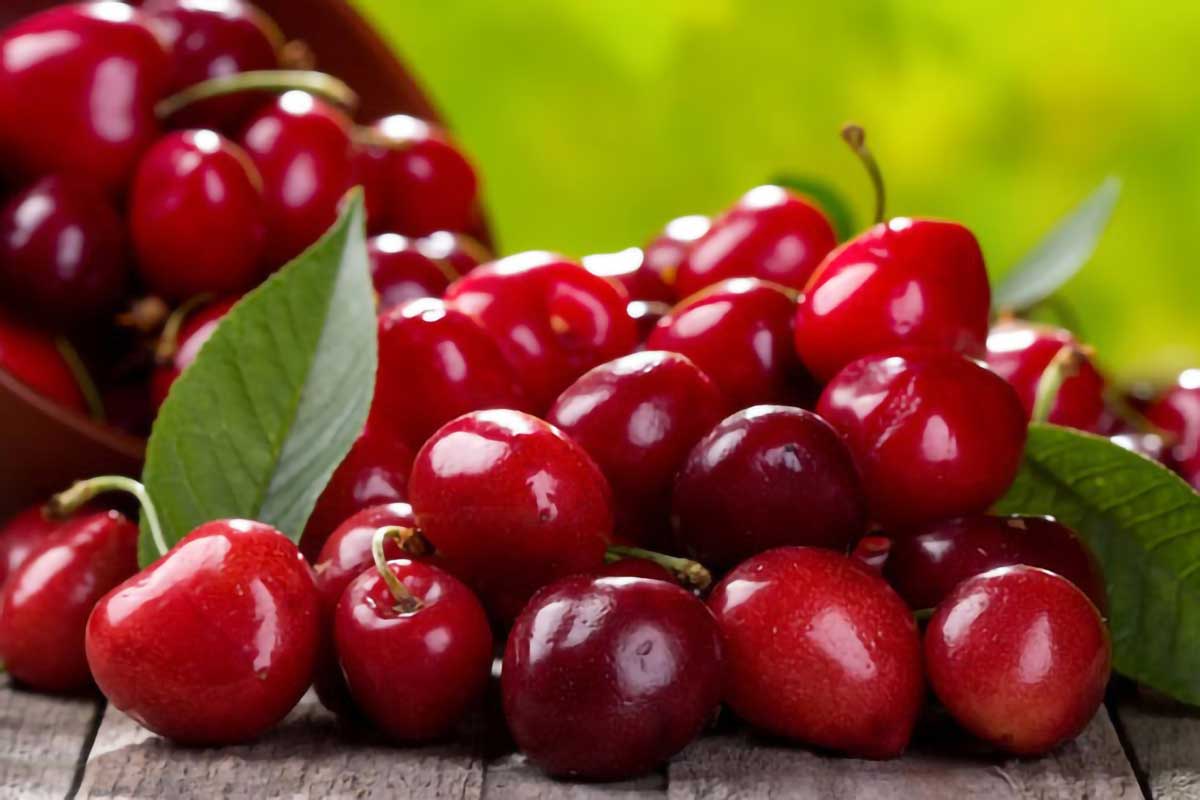 آلبالو آلبالو