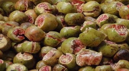 انار وحشی