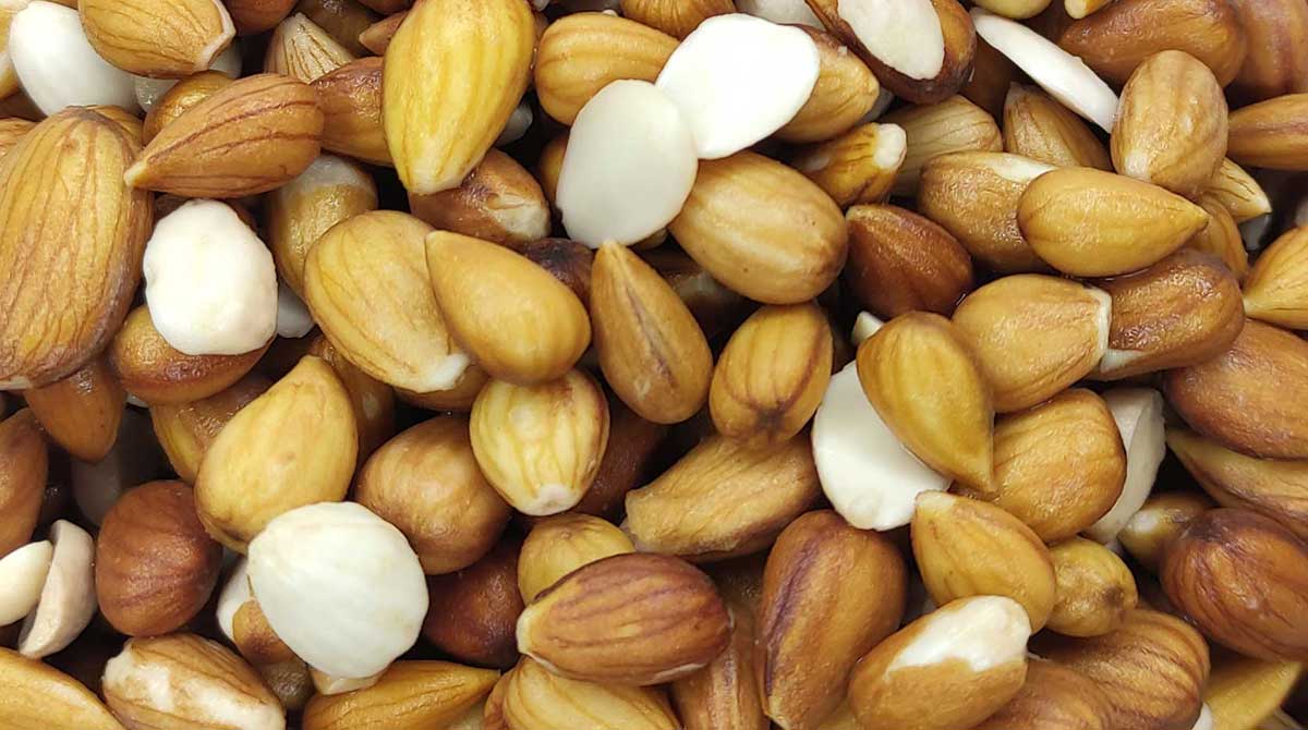 بادام کوهی (الوک) بادام کوهی (الوک)