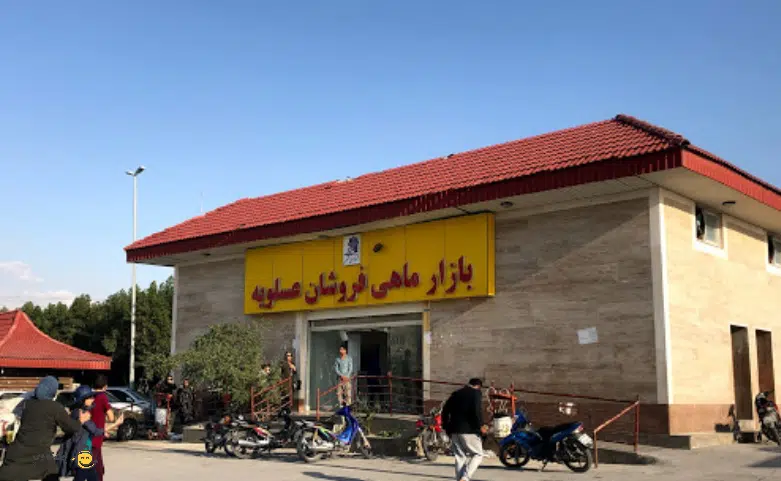 بازار ماهی فروشان عسلویه بازار ماهی فروشان عسلویه