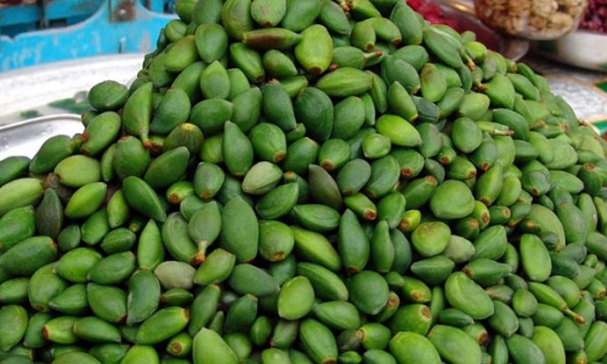 چاغاله بادام چاغاله بادام