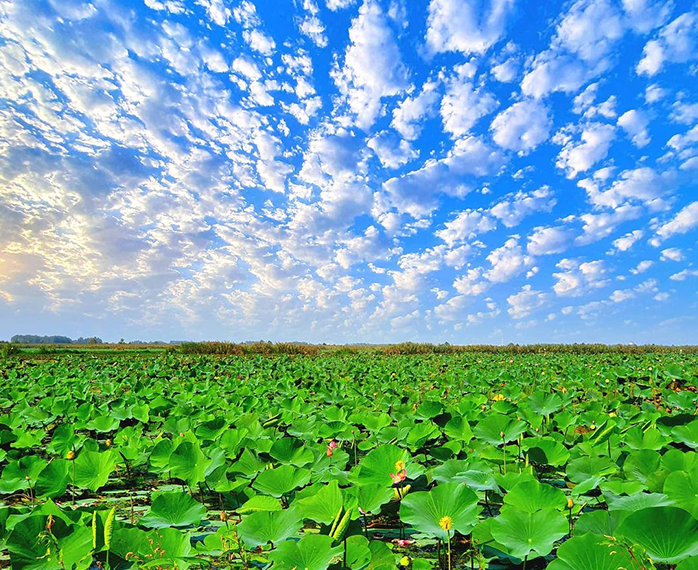 تالاب انزلی