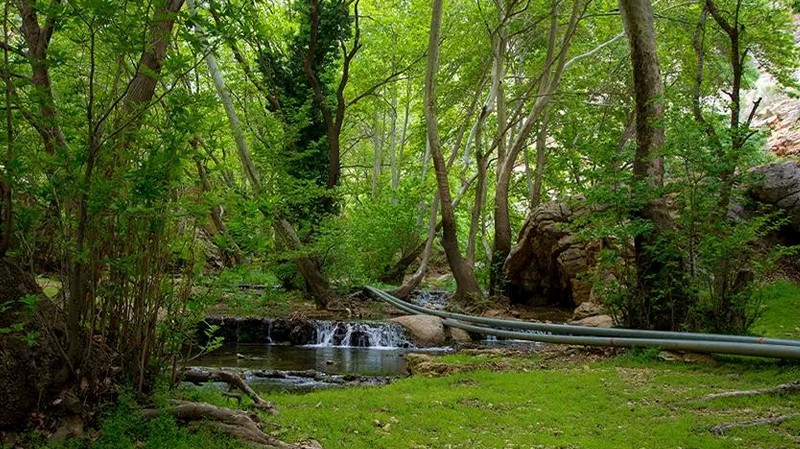 جاهای دیدنی شیراز در تابستان