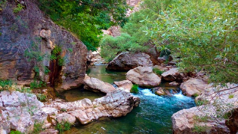 جاهای دیدنی شیراز در تابستان
