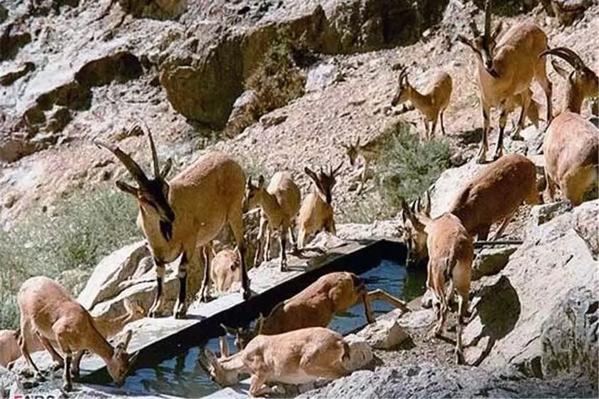 منطقه‌ی حفاظت‌شده هفتاد قله