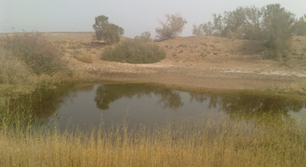 مجتمع کویری احمد آران و بیدگل