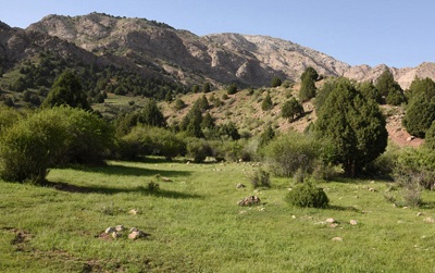 روستای بردو تربت جام 