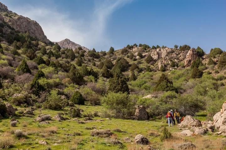 روستای هدف گردشگری بزد تربت جام