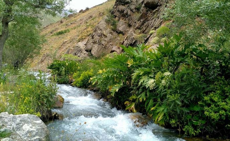 نزدیک‌ گردی با طعم ماجرا
