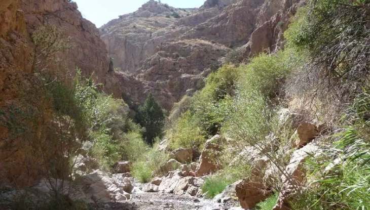 روستای بردو تربت جام