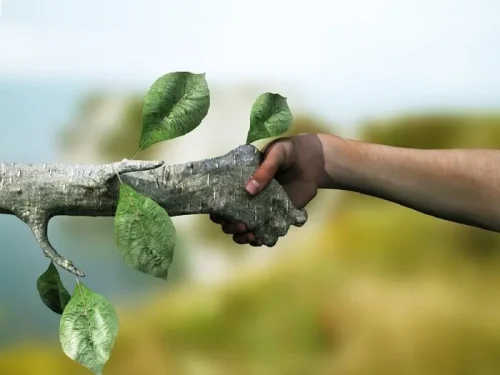 گردشگر سبز باش
