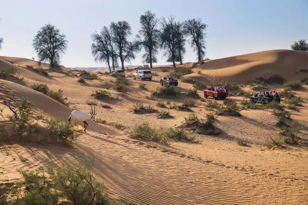 ذخیره گاه حفاظت شده بیابان دبی