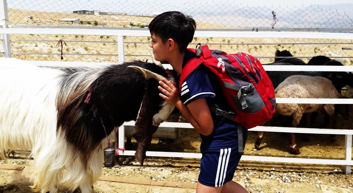 مزرعه گردشگری