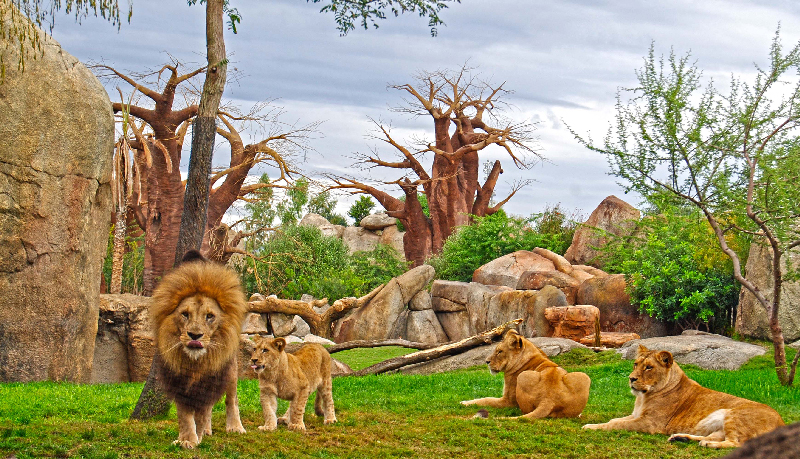 باغ وحش بارسلونا باغ وحش بارسلونا