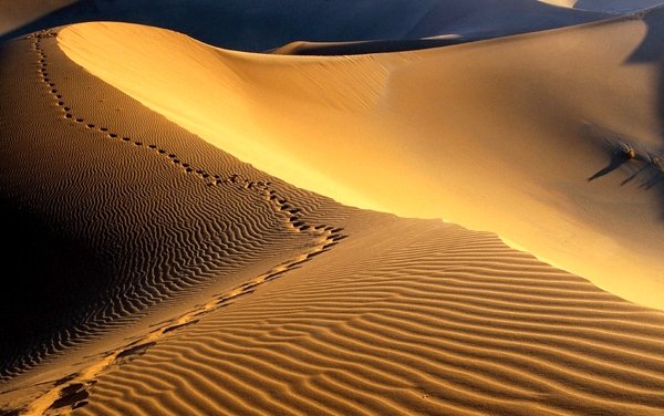 کویر مرکزی ایران کویر مرکزی ایران