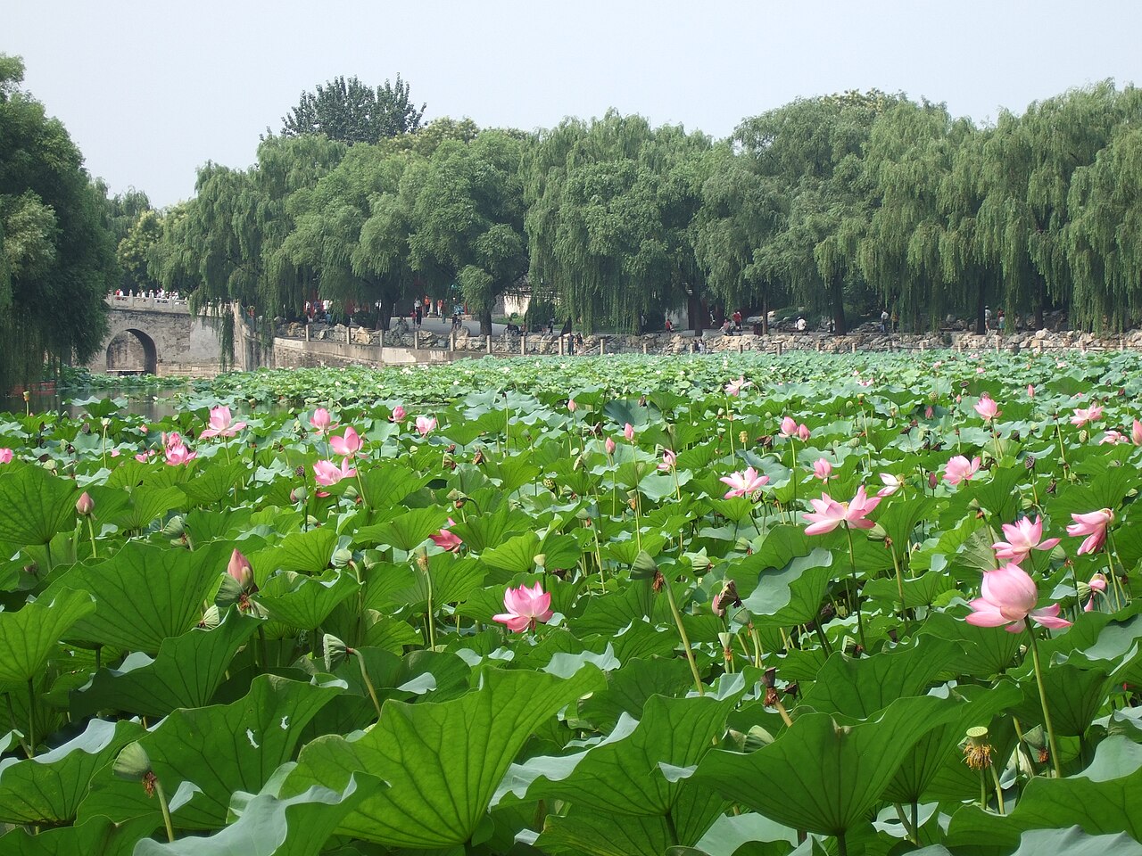 پارک بیهای پکن