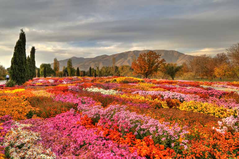باغ ملی گیاهشناسی تهران باغ ملی گیاهشناسی تهران